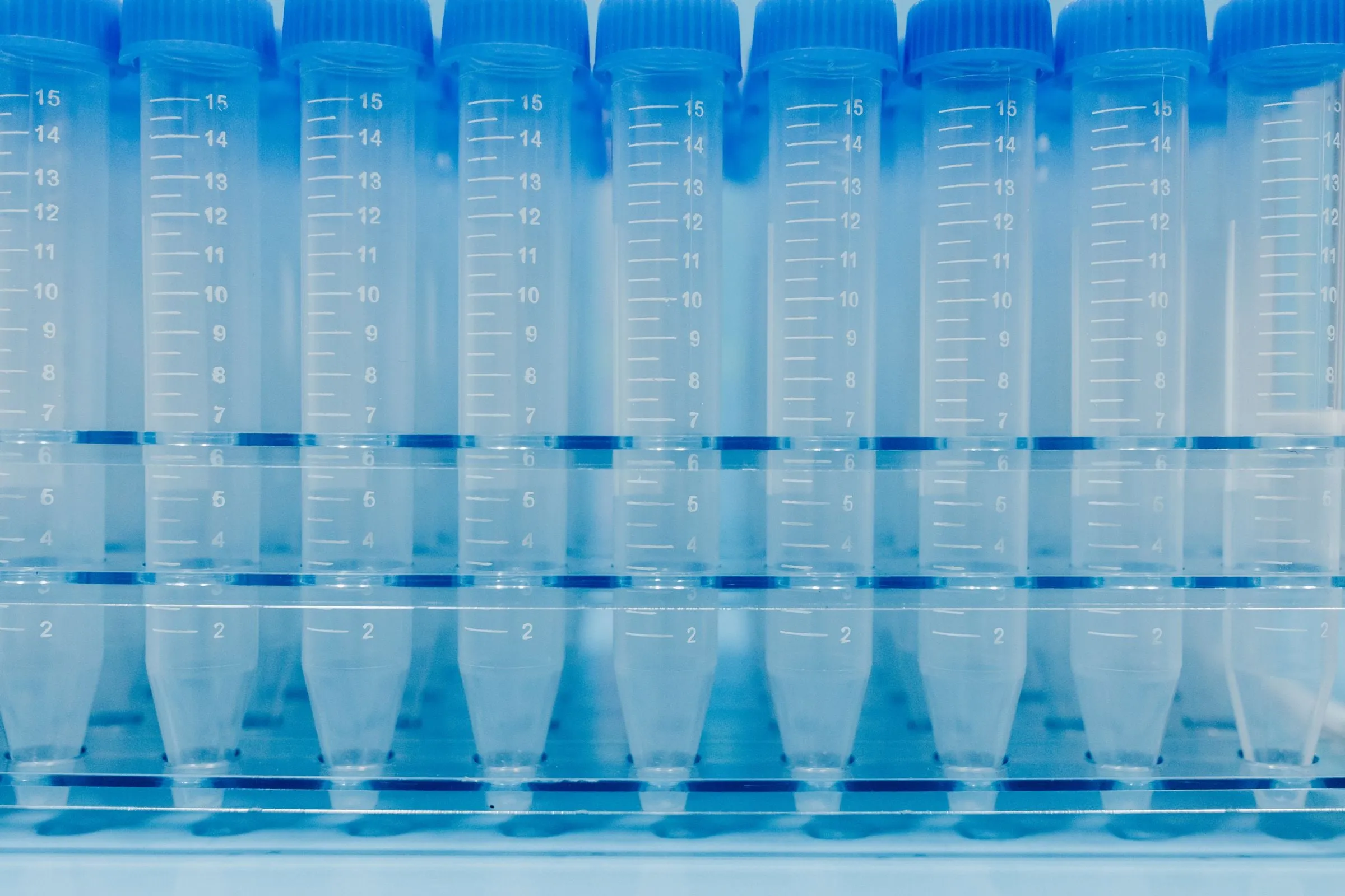 Rows of clear graduated plastic tubes